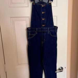 Levi's X Anthropologie Overalls, Cutoff, Size 28 waist